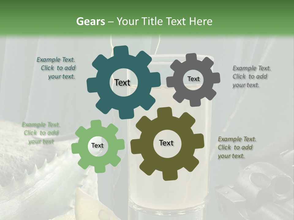 Female Beauty Recreation PowerPoint Template