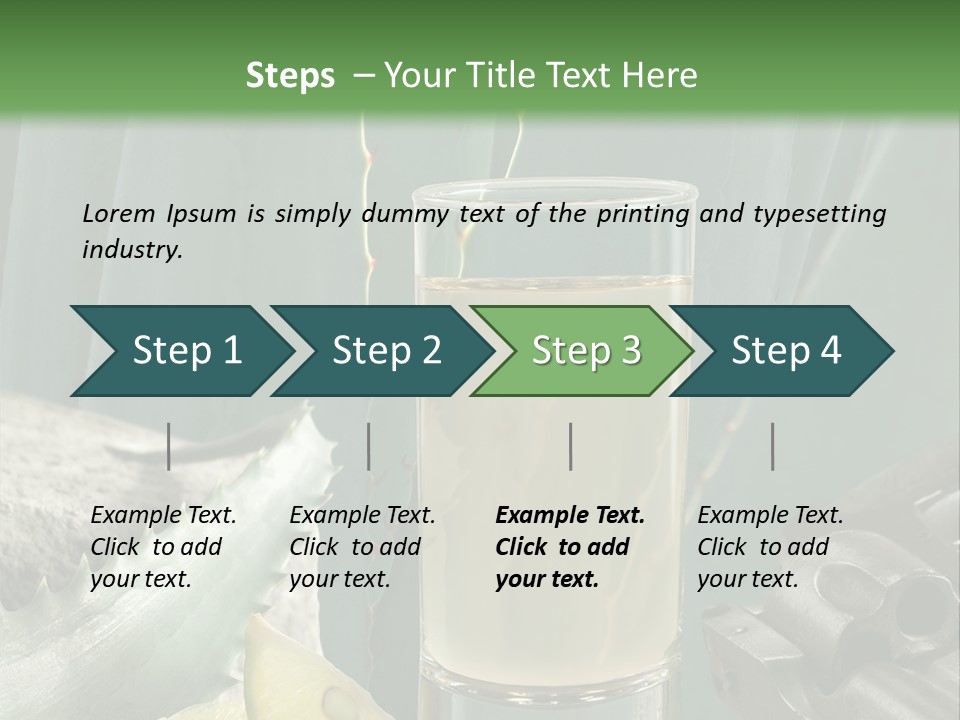 Female Beauty Recreation PowerPoint Template