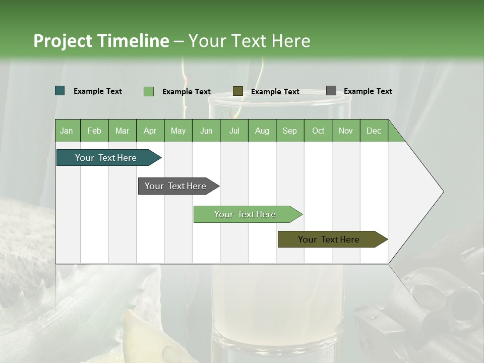 Female Beauty Recreation PowerPoint Template