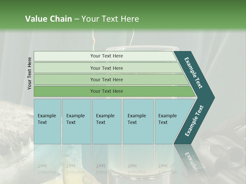 Female Beauty Recreation PowerPoint Template