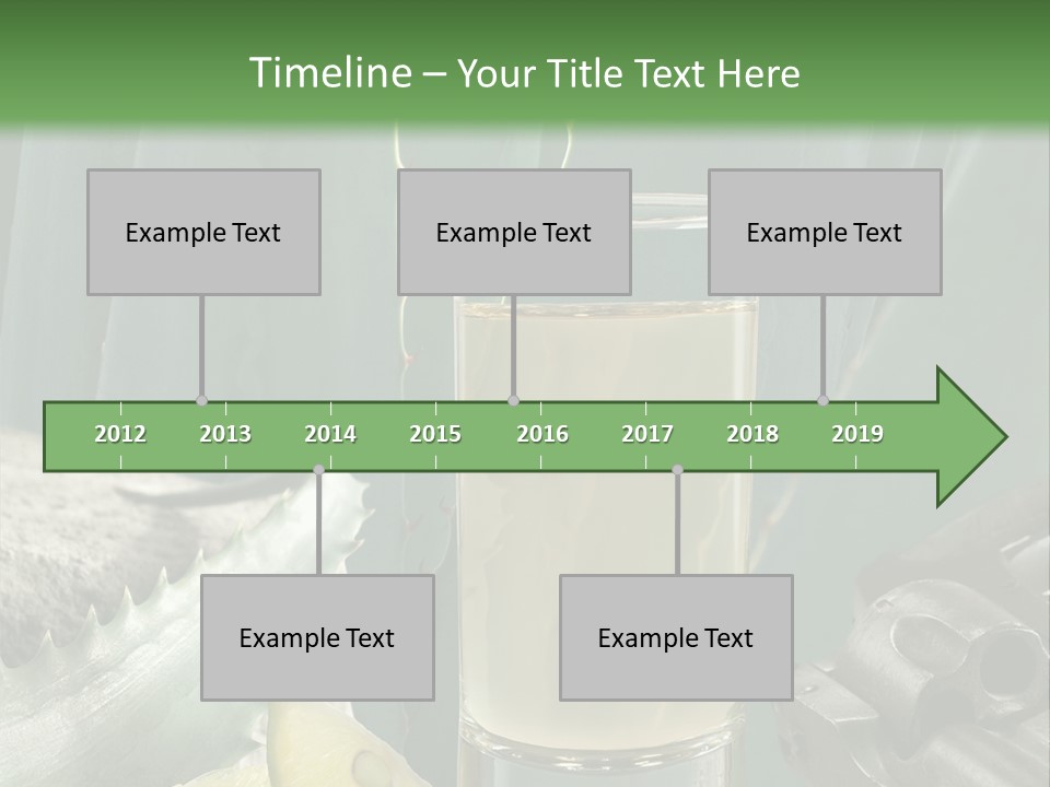 Female Beauty Recreation PowerPoint Template
