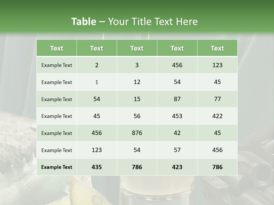 Female Beauty Recreation PowerPoint Template