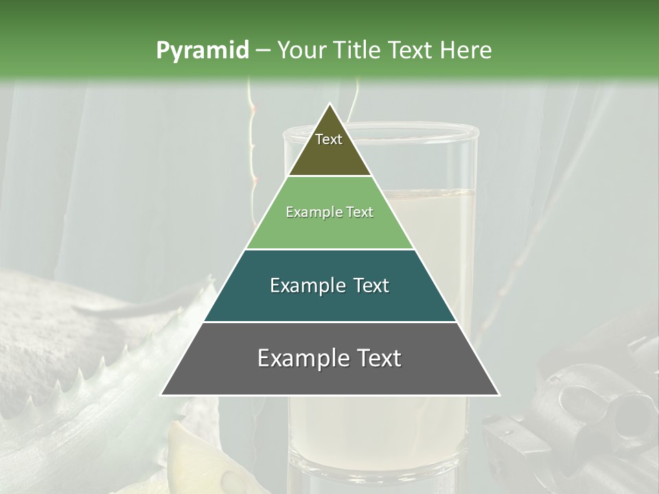 Female Beauty Recreation PowerPoint Template