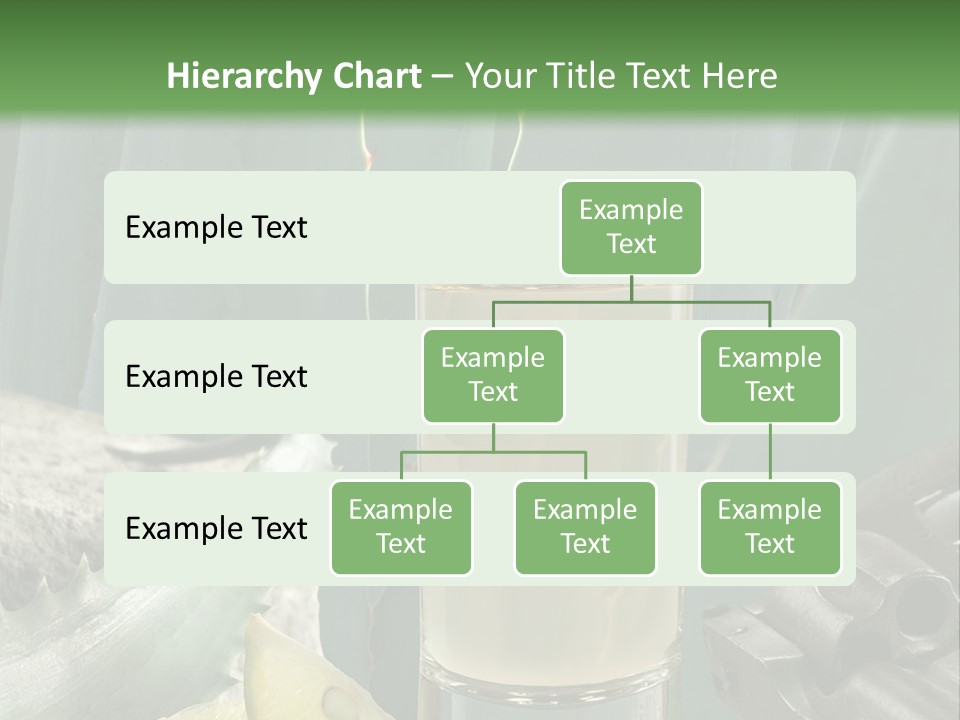 Female Beauty Recreation PowerPoint Template