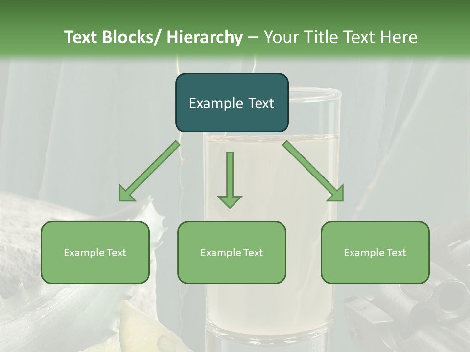 Female Beauty Recreation PowerPoint Template