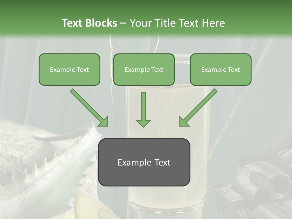 Female Beauty Recreation PowerPoint Template