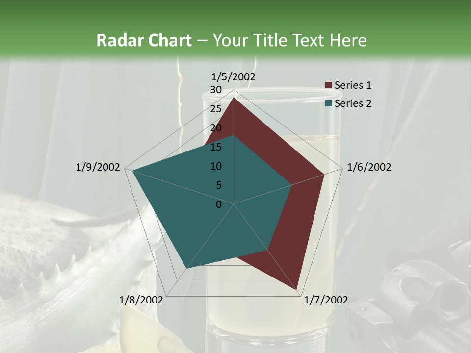 Female Beauty Recreation PowerPoint Template