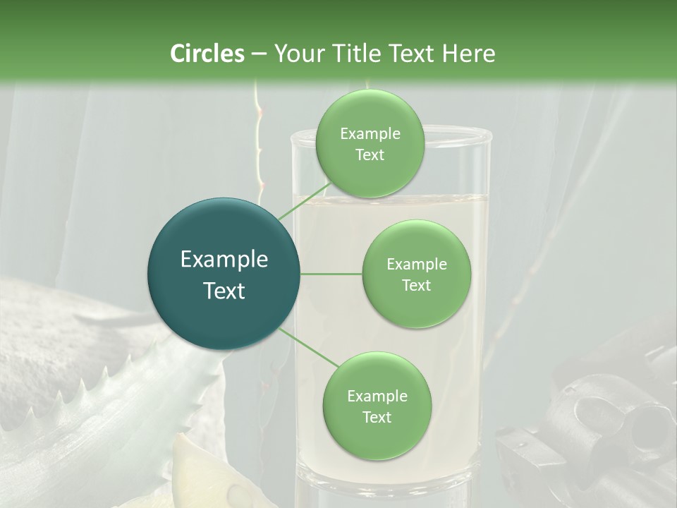 Female Beauty Recreation PowerPoint Template