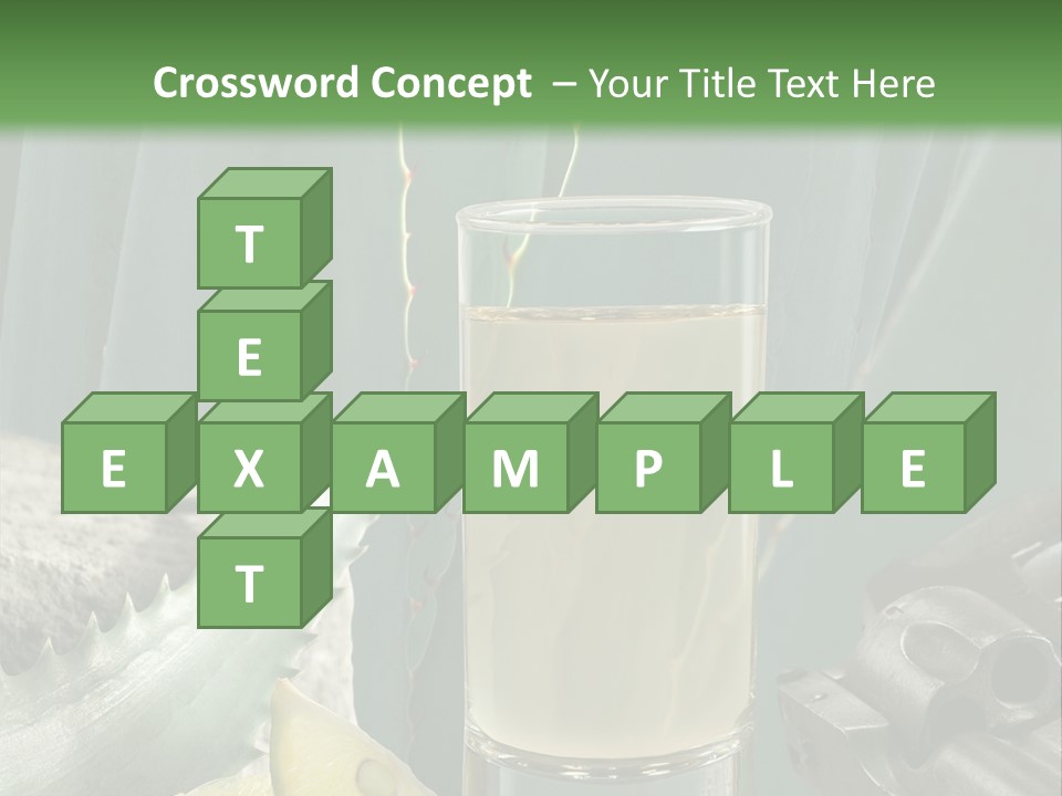 Female Beauty Recreation PowerPoint Template