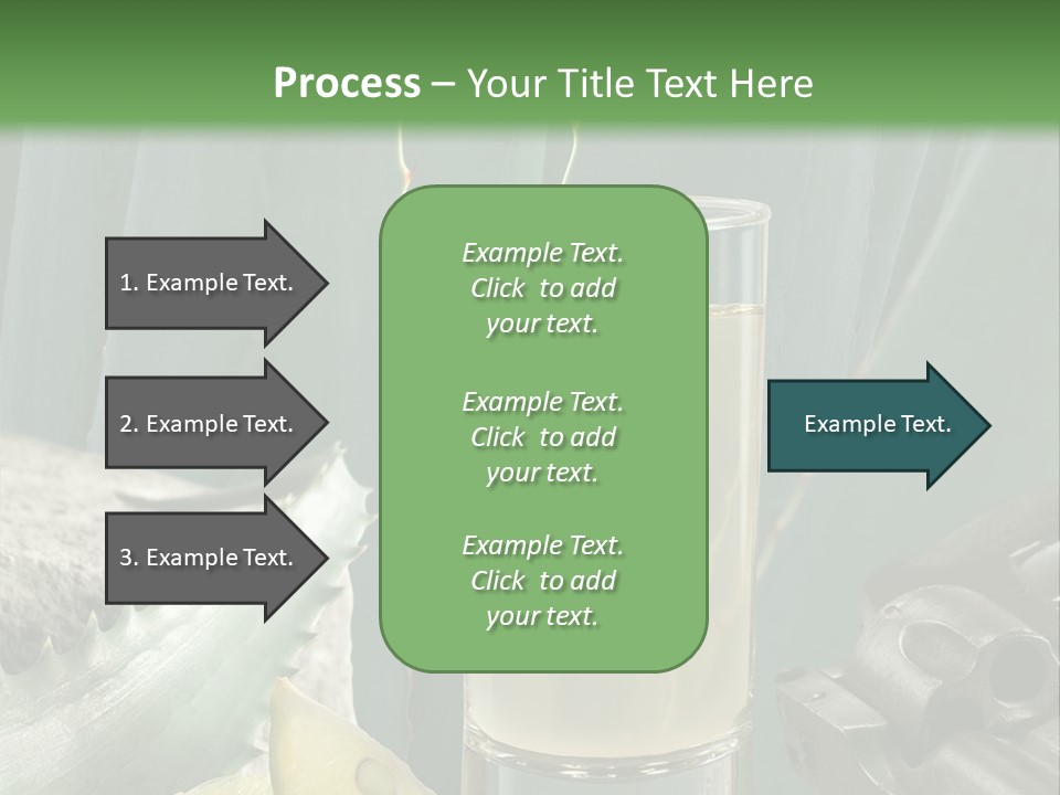Female Beauty Recreation PowerPoint Template