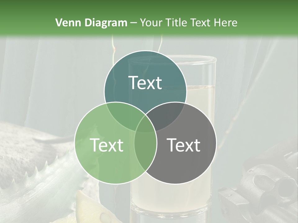 Female Beauty Recreation PowerPoint Template