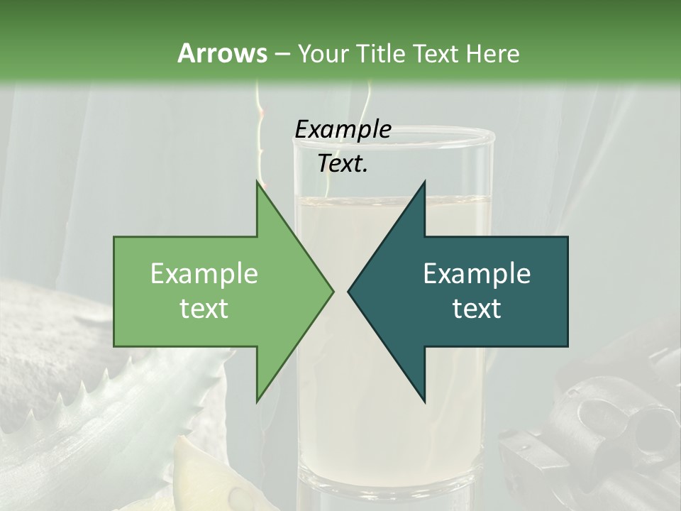 Female Beauty Recreation PowerPoint Template
