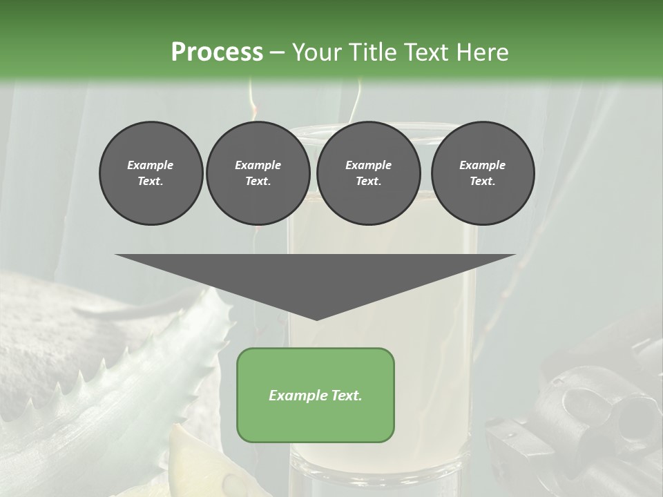 Female Beauty Recreation PowerPoint Template