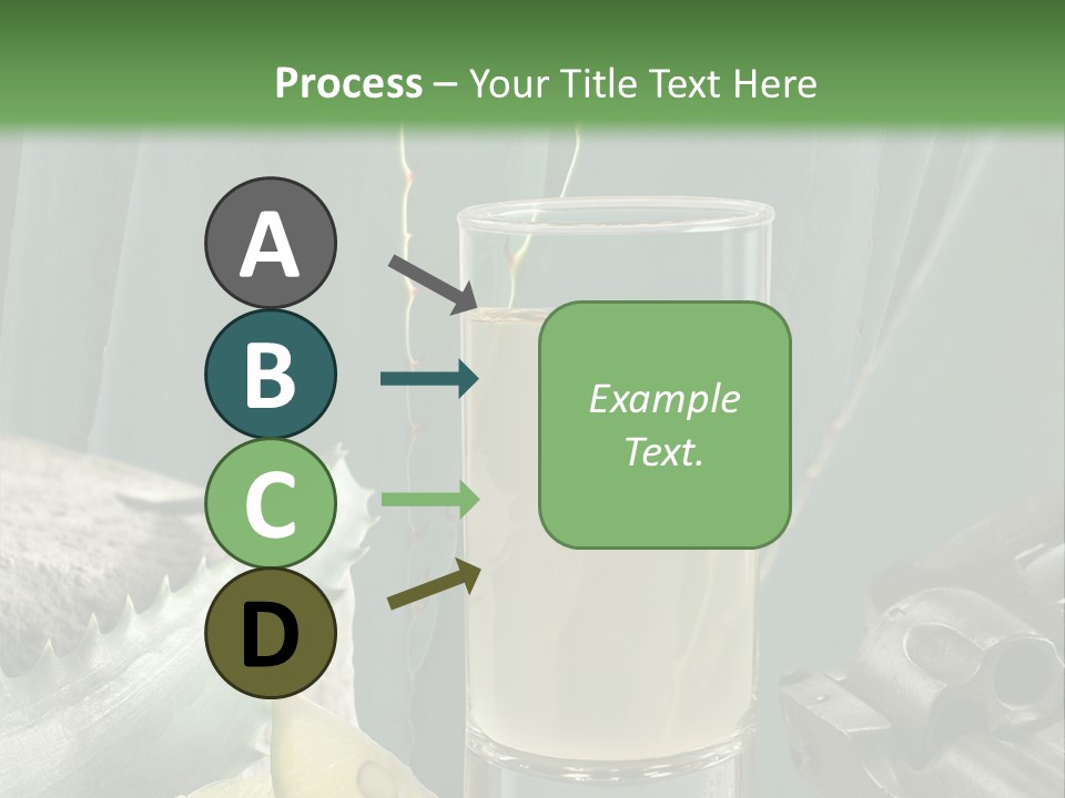 Female Beauty Recreation PowerPoint Template