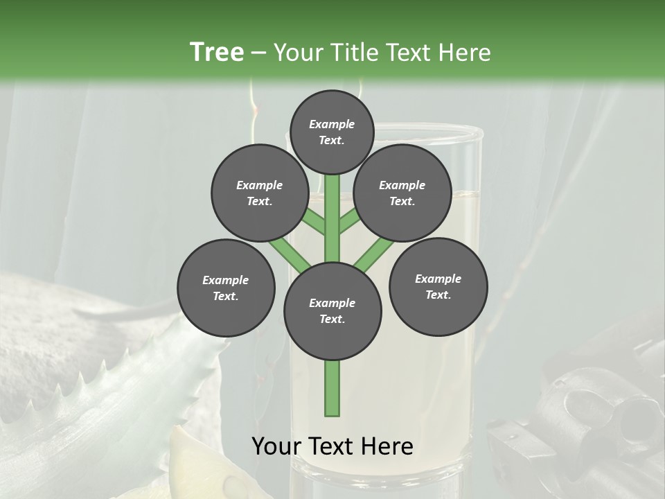 Female Beauty Recreation PowerPoint Template