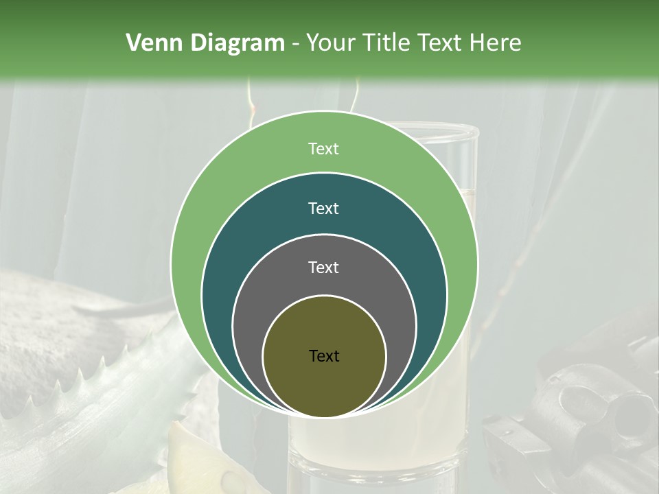 Female Beauty Recreation PowerPoint Template