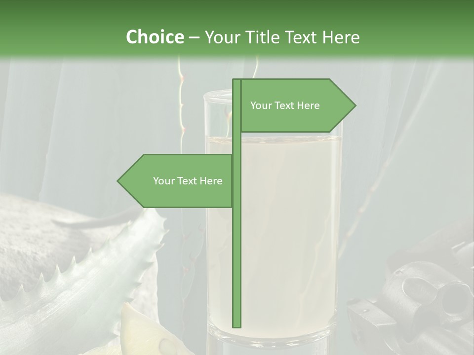 Female Beauty Recreation PowerPoint Template