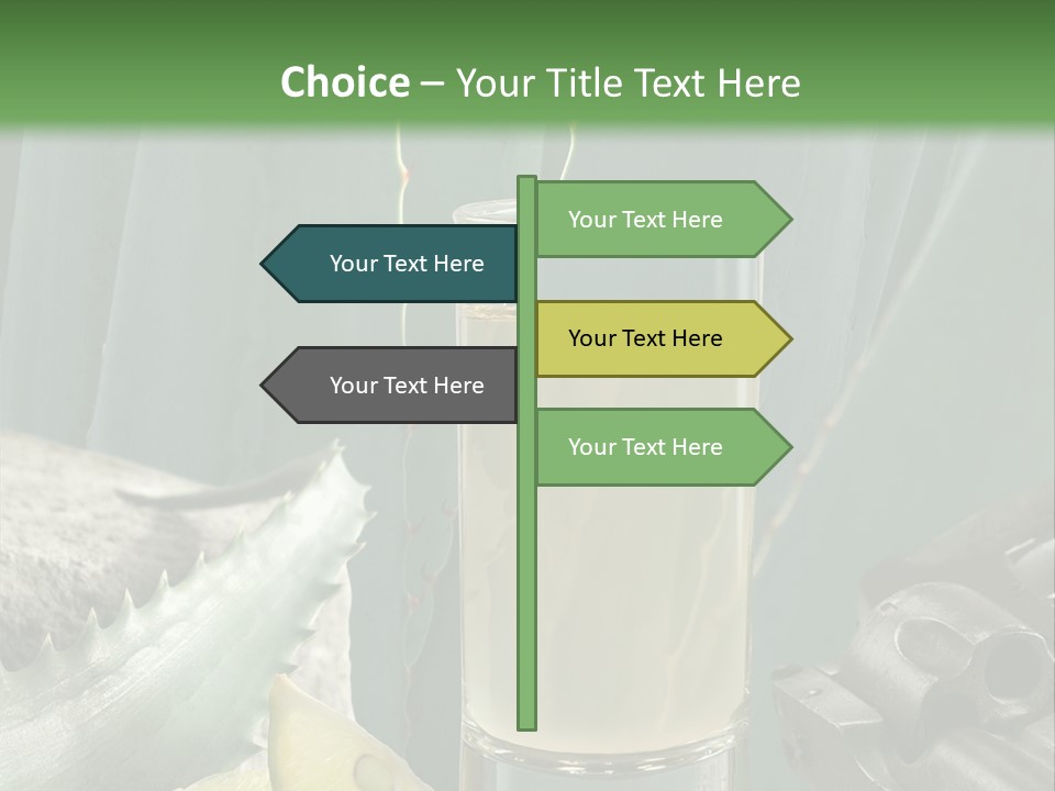 Female Beauty Recreation PowerPoint Template