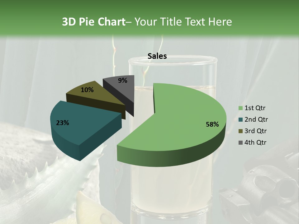 Female Beauty Recreation PowerPoint Template