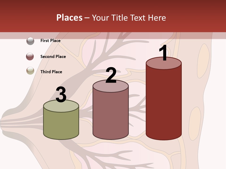 A Breast Diagram With The Name Of The Breast PowerPoint Template