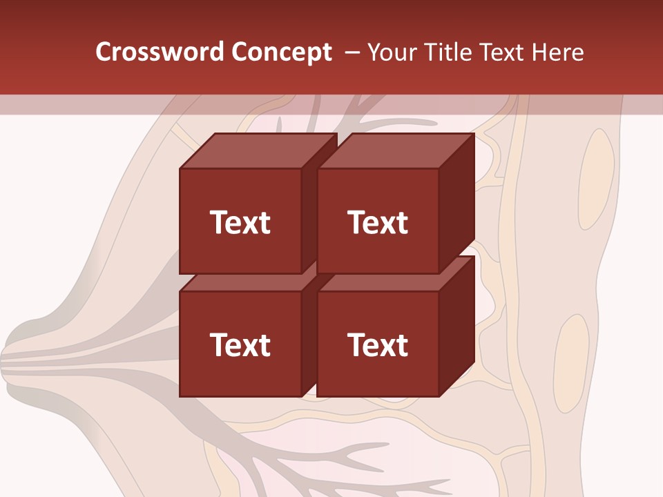 A Breast Diagram With The Name Of The Breast PowerPoint Template