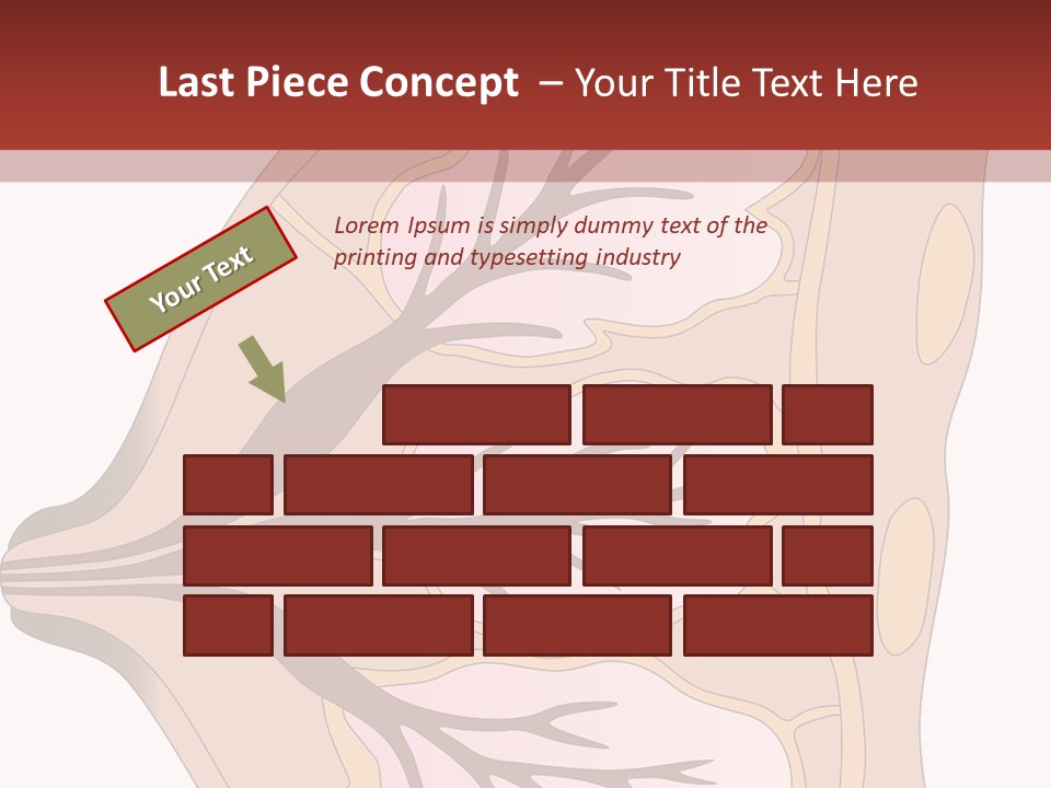 A Breast Diagram With The Name Of The Breast PowerPoint Template