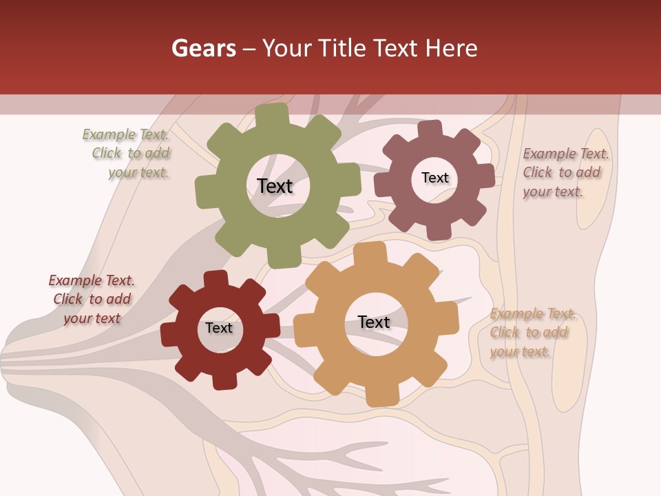 A Breast Diagram With The Name Of The Breast PowerPoint Template