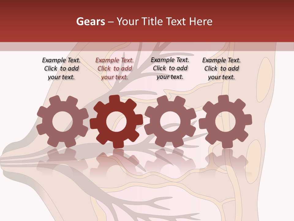 A Breast Diagram With The Name Of The Breast PowerPoint Template