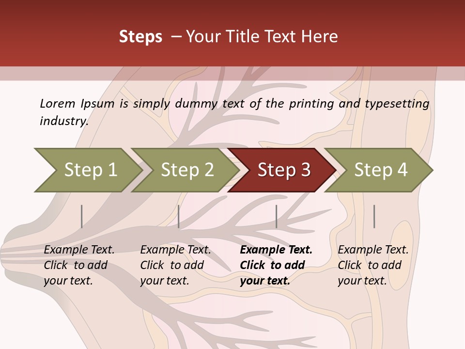 A Breast Diagram With The Name Of The Breast PowerPoint Template
