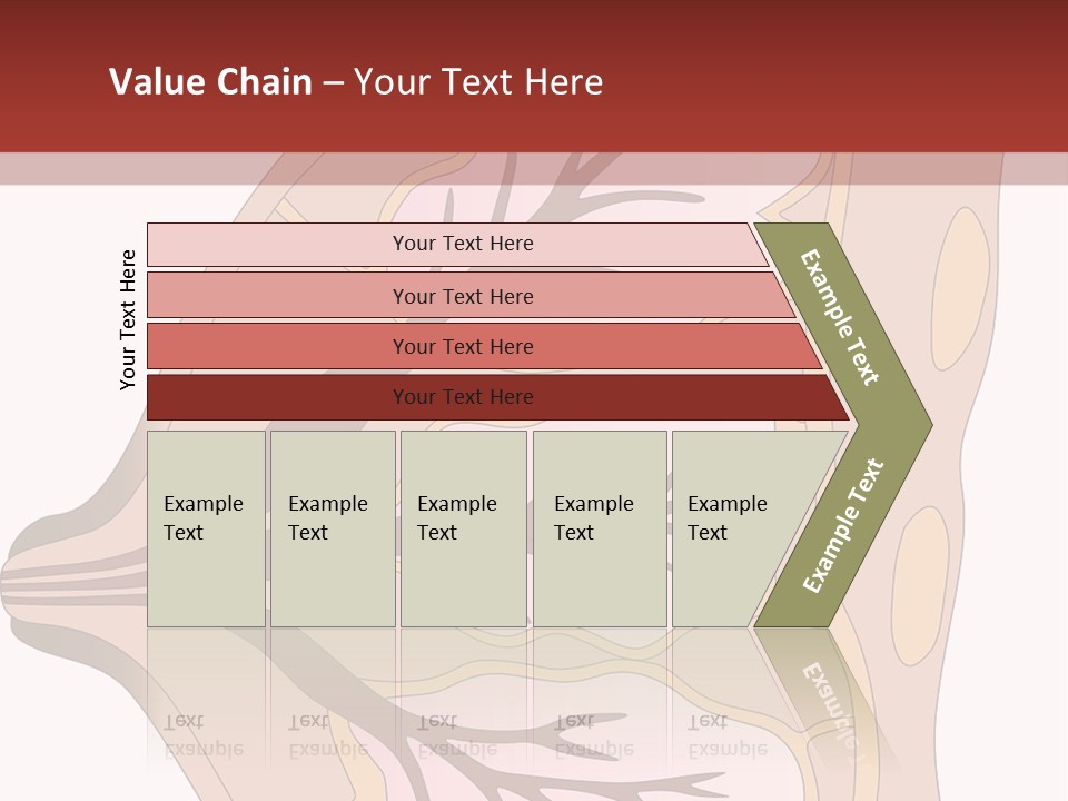 A Breast Diagram With The Name Of The Breast PowerPoint Template