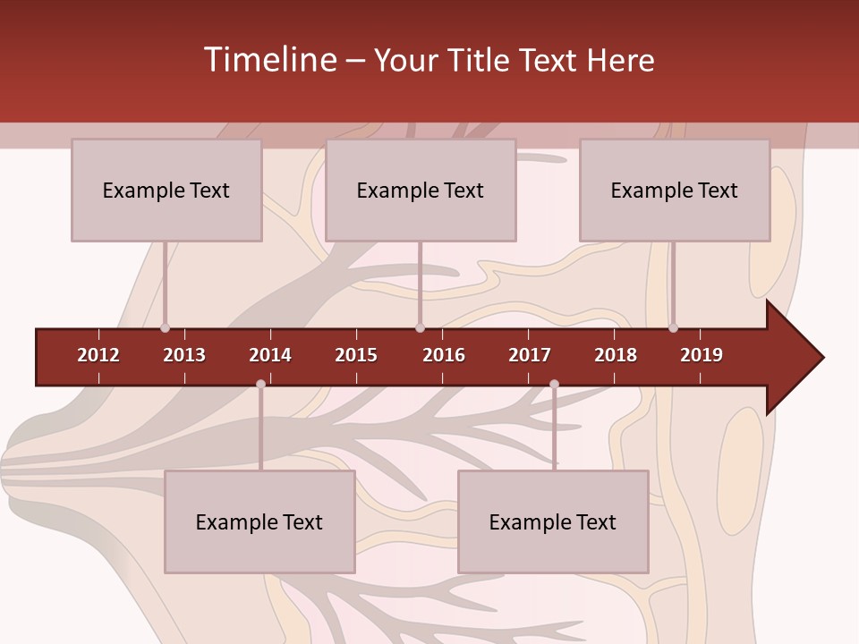 A Breast Diagram With The Name Of The Breast PowerPoint Template