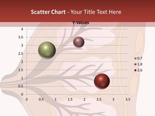 A Breast Diagram With The Name Of The Breast PowerPoint Template