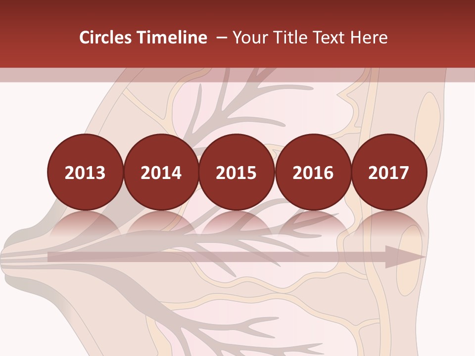 A Breast Diagram With The Name Of The Breast PowerPoint Template