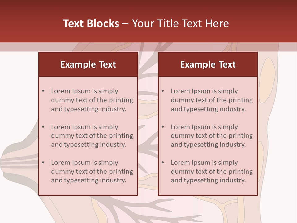 A Breast Diagram With The Name Of The Breast PowerPoint Template
