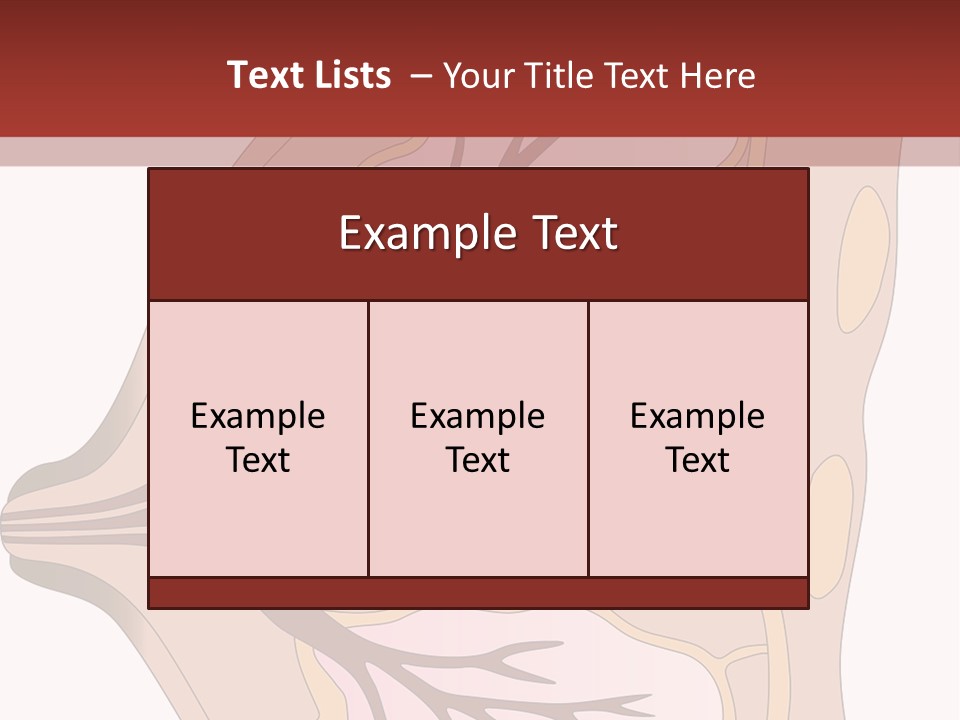 A Breast Diagram With The Name Of The Breast PowerPoint Template