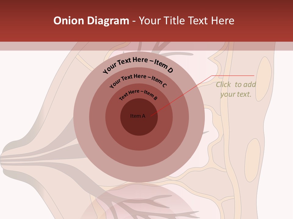 A Breast Diagram With The Name Of The Breast PowerPoint Template