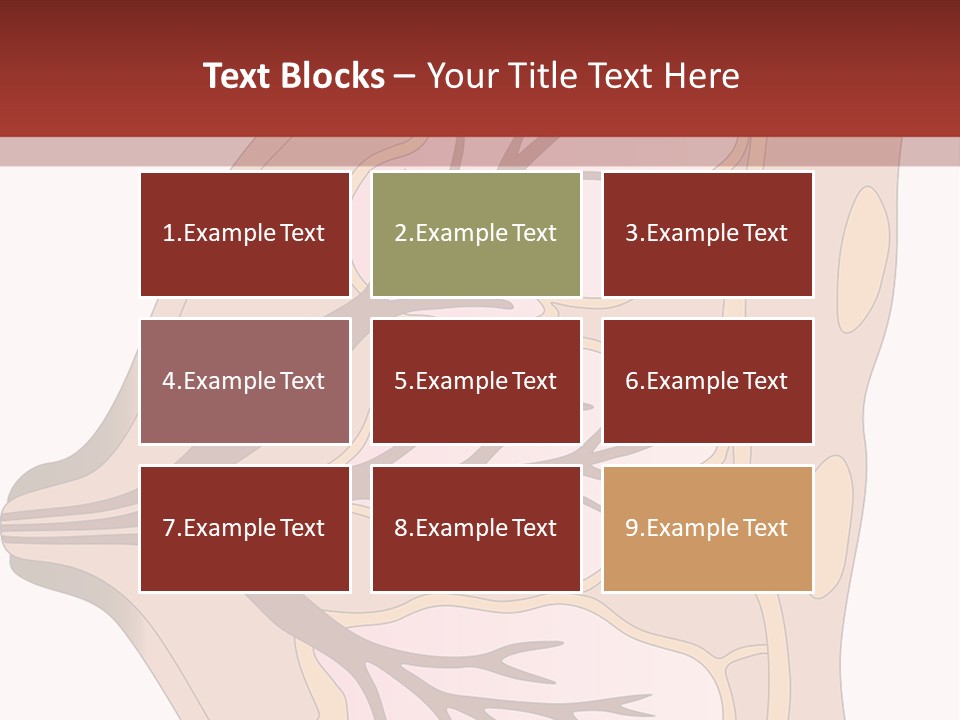 A Breast Diagram With The Name Of The Breast PowerPoint Template