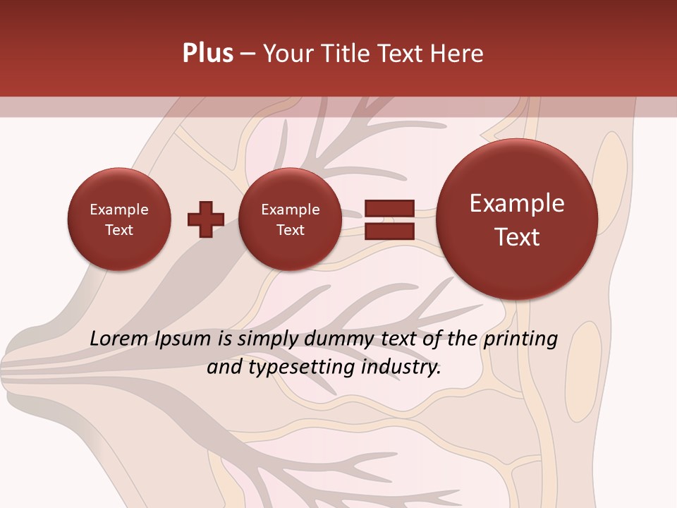 A Breast Diagram With The Name Of The Breast PowerPoint Template