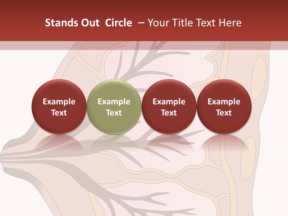 A Breast Diagram With The Name Of The Breast PowerPoint Template