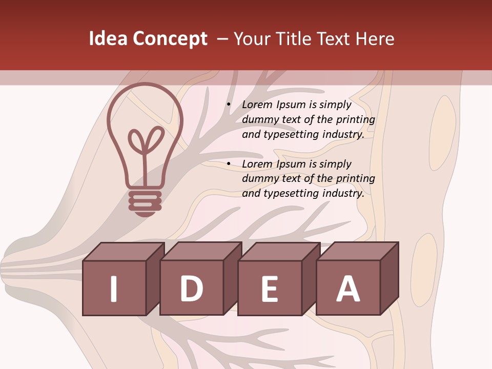 A Breast Diagram With The Name Of The Breast PowerPoint Template