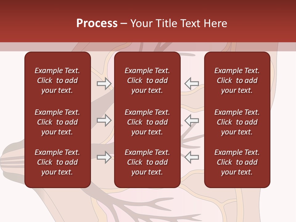 A Breast Diagram With The Name Of The Breast PowerPoint Template