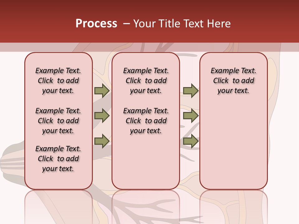 A Breast Diagram With The Name Of The Breast PowerPoint Template