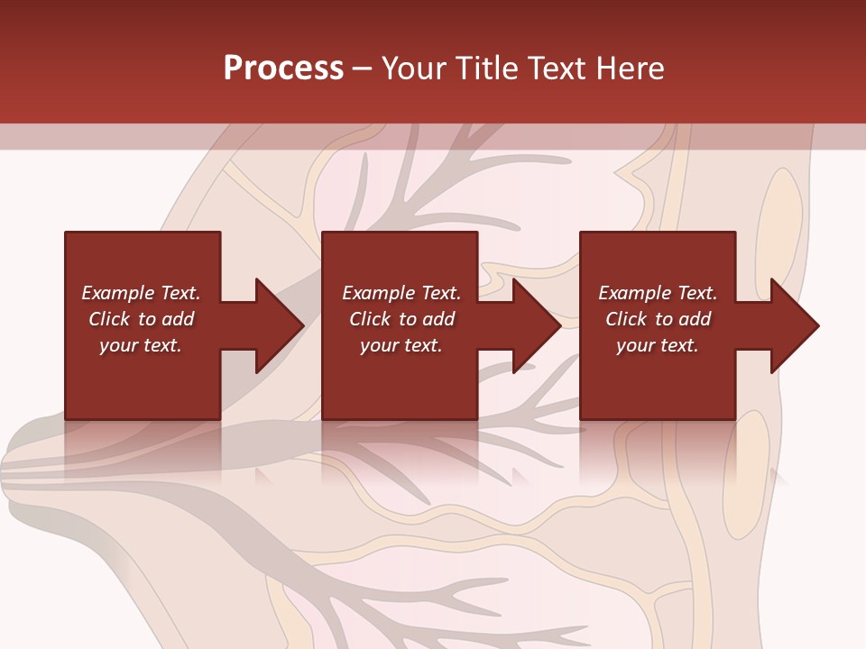 A Breast Diagram With The Name Of The Breast PowerPoint Template