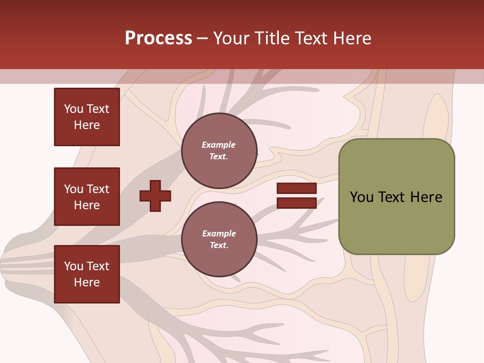 A Breast Diagram With The Name Of The Breast PowerPoint Template
