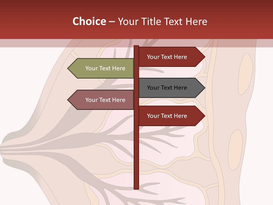 A Breast Diagram With The Name Of The Breast PowerPoint Template