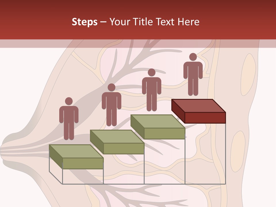 A Breast Diagram With The Name Of The Breast PowerPoint Template