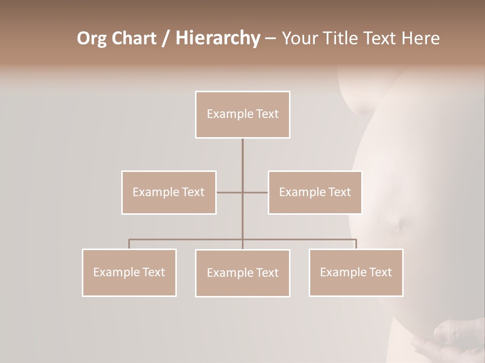 A Pregnant Woman Holding Her Belly In Her Hands PowerPoint Template