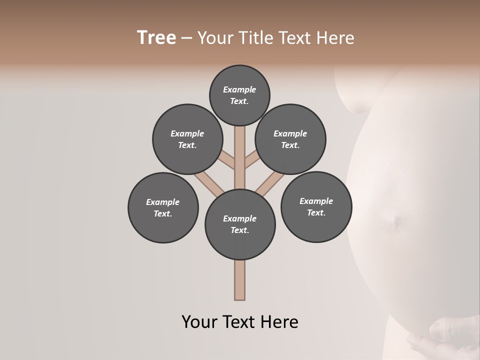 A Pregnant Woman Holding Her Belly In Her Hands PowerPoint Template