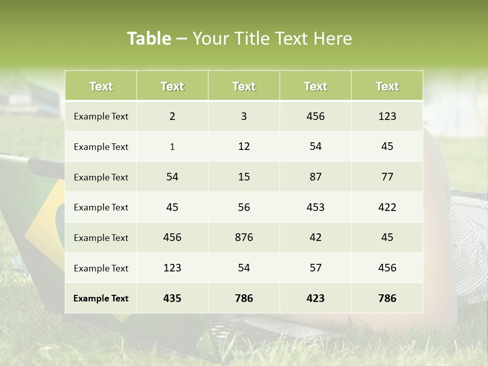 A Woman Laying On The Grass Using A Laptop Computer PowerPoint Template