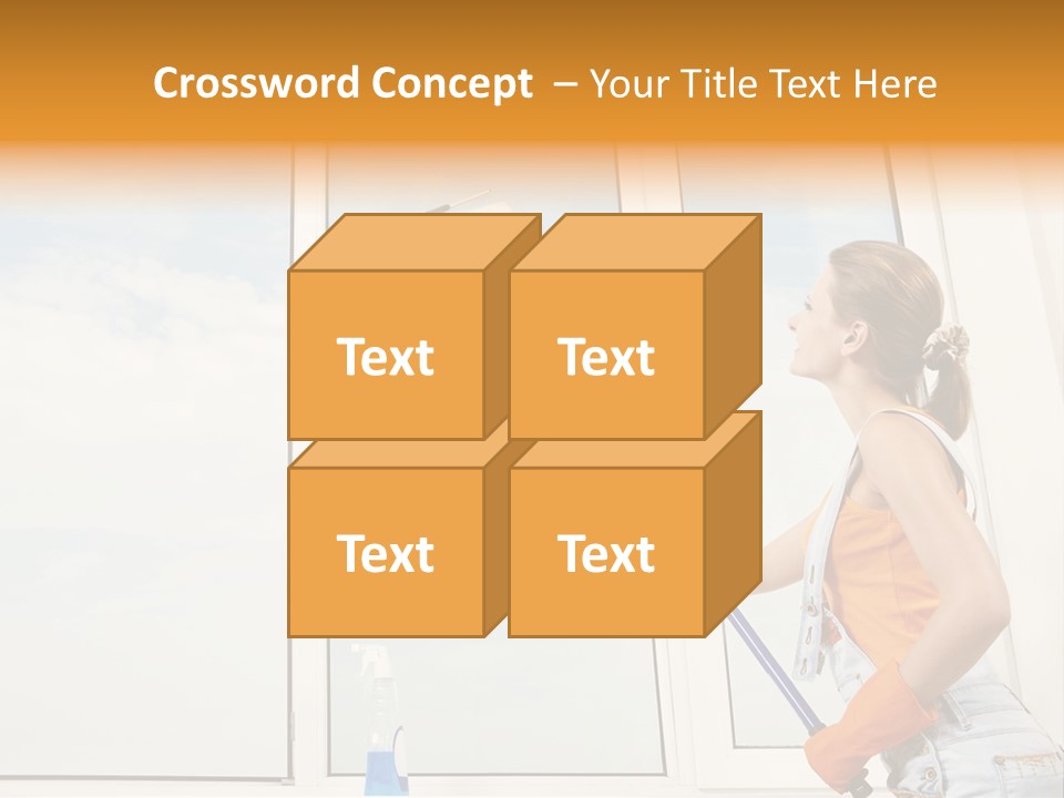 A Woman Cleaning Windows With A Mop PowerPoint Template
